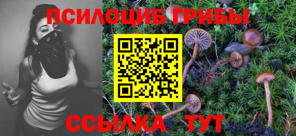 Галлюциногенные грибы прущие грибы  Вход с VPN  Псилоцибиновые грибы Cubensis  Заринск 